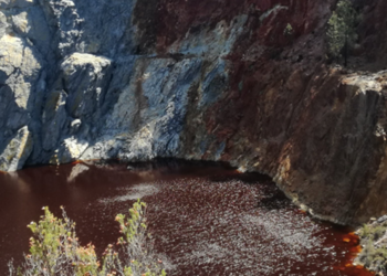 Blog by Rasha Hassan: realizing the water management concept