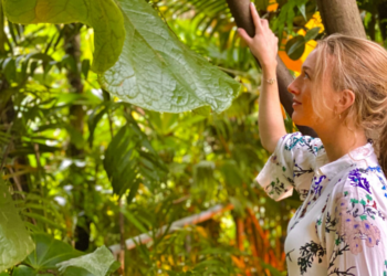 How the ‘Internet of Nature’ can help optimize water use for cities’ ambitious tree-planting targets     