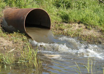 Microbial fingerprint for source tracking in surface water management