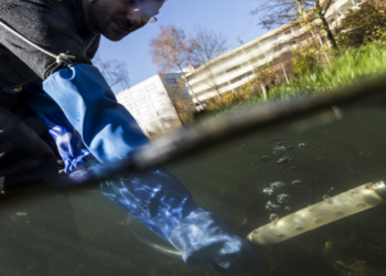 Modular Stepwise Procedure (MSP)