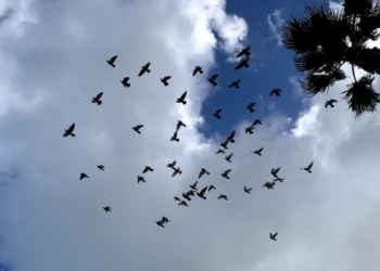 A Wave of Change: The demand for an inclusive approach in building a resilient water sector