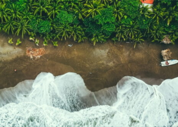 Cascading impacts and interdependencies, are we taking enough actions towards disaster risks?