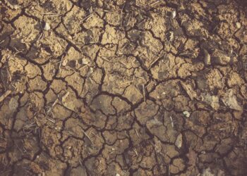 More drought in the Netherlands?