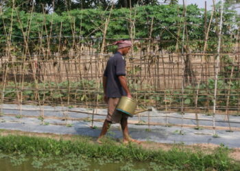 AIWW2021: Agrifood Sessions