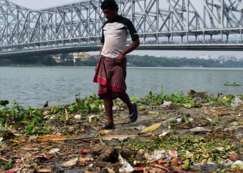 Pharmaceuticals are present in almost all the world’s rivers, study finds