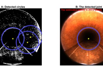 Image processing for automatic interpretation of drinking water mains inspections